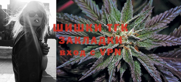соль ск Няндома
