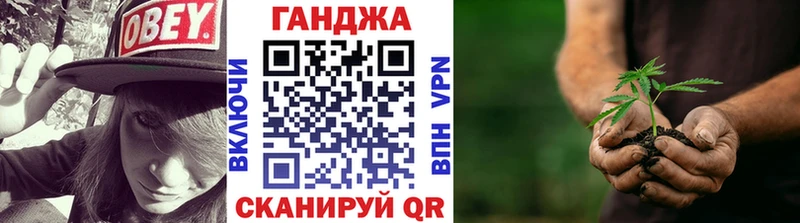 Конопля гибрид  Среднеколымск 